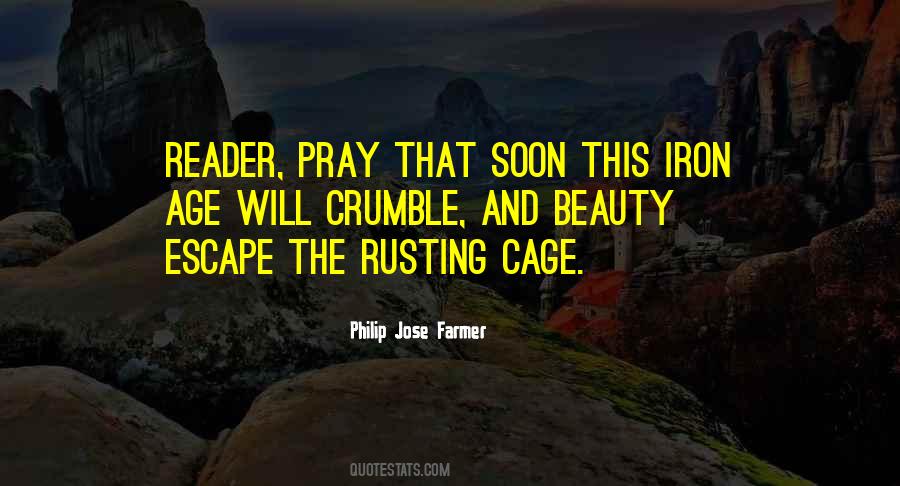 Beauty Age Quotes #1252158