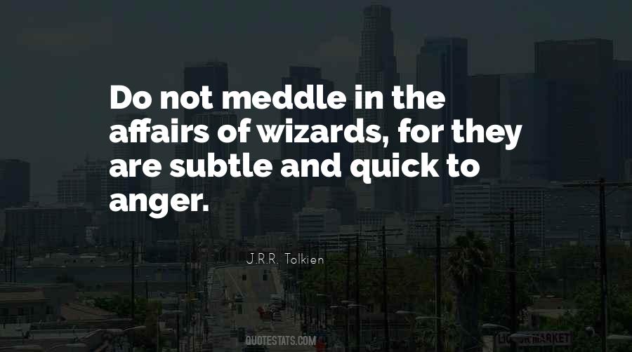 Do Not Meddle In The Affairs Of Wizards Quotes #1263128