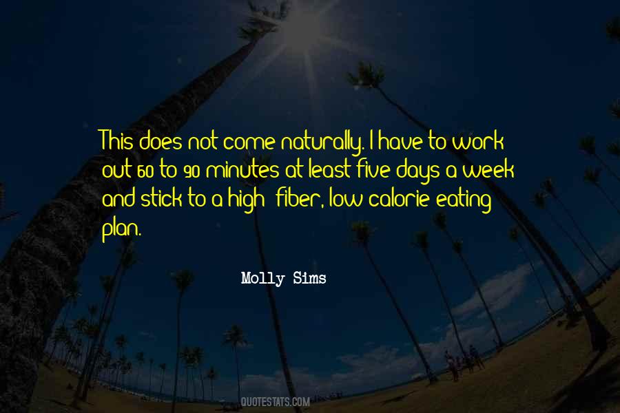 Stick To Your Plan Quotes #1851496