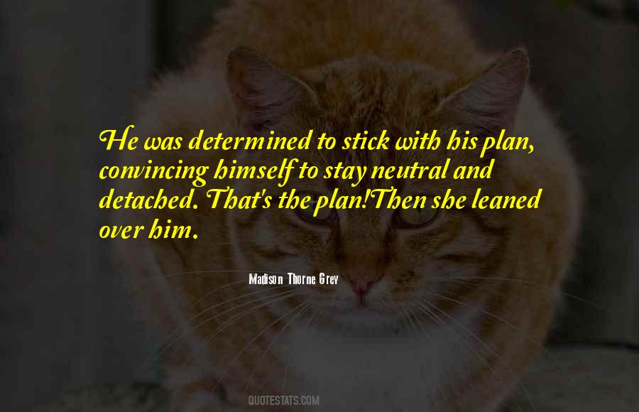 Stick To Your Plan Quotes #998710