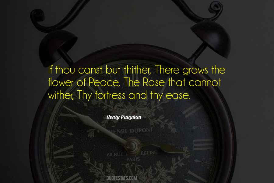 Peace Rose Quotes #938419