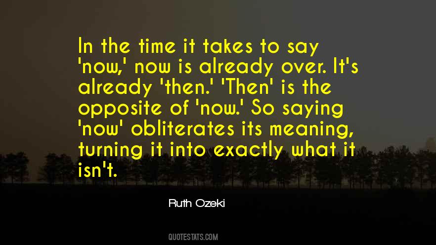 What Is The Meaning Of The Quotes #1673647