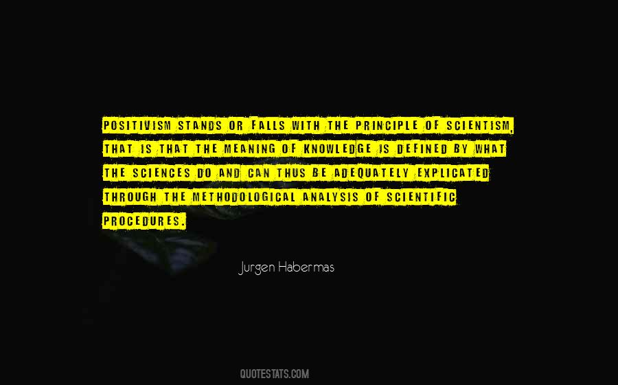 What Is The Meaning Of The Quotes #175471