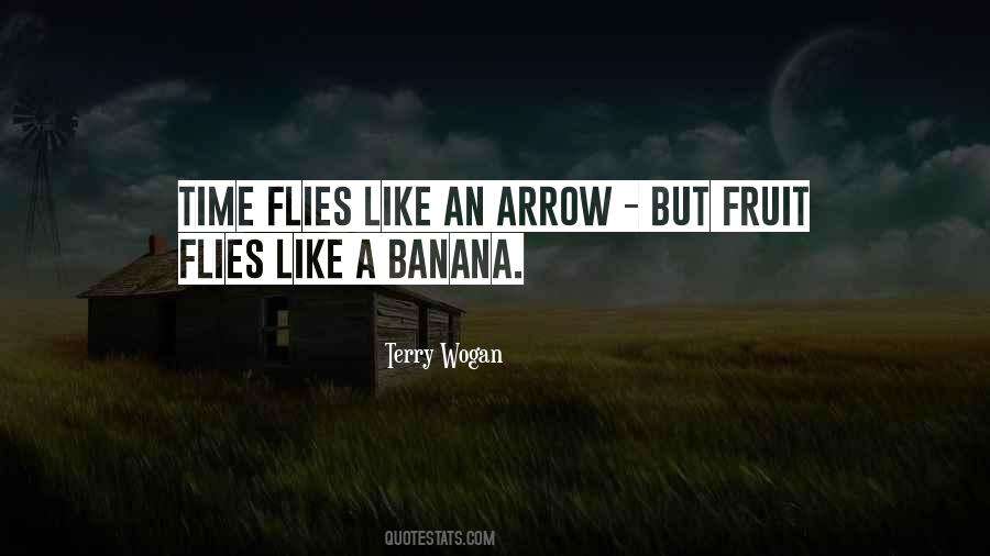 Time Flies Like Quotes #1056408