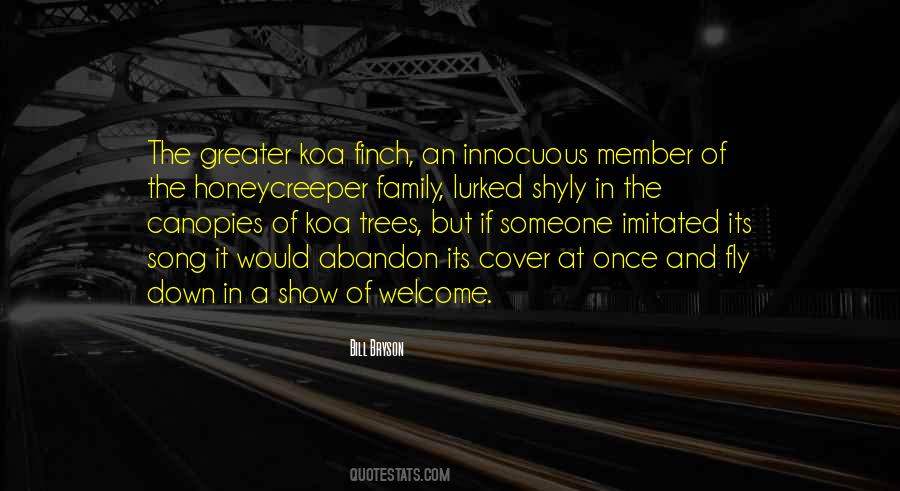 Cover Song Quotes #1137461