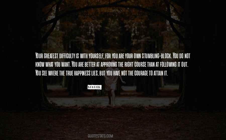 What You See Is Not True Quotes #1062856