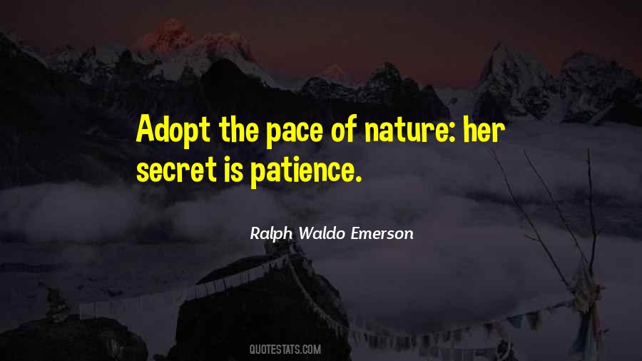 Nature Patience Quotes #672912
