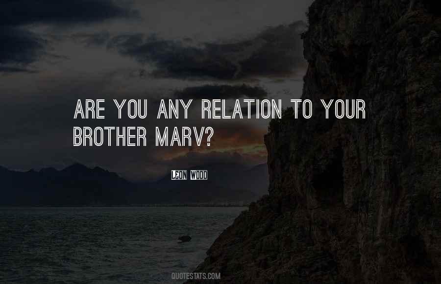 Brother Brother Quotes #44353