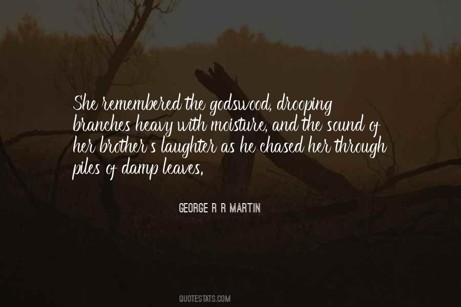 Brother Brother Quotes #84445