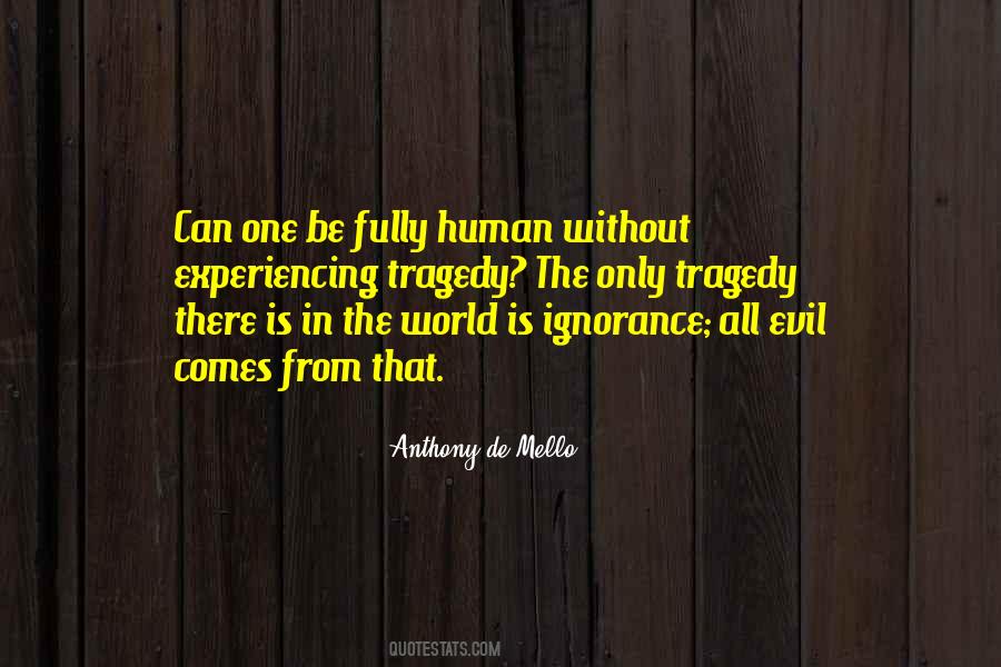 Quotes About The Evil In The World #279324