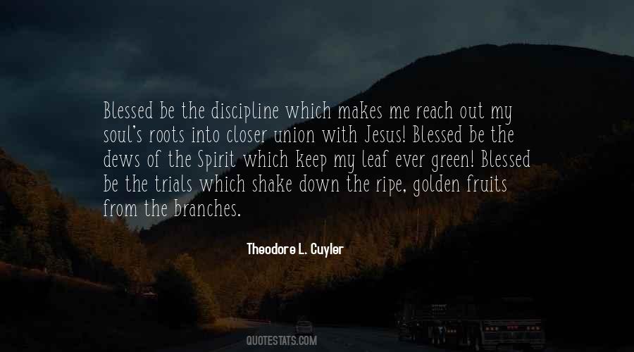 Blessed Soul Quotes #1672242
