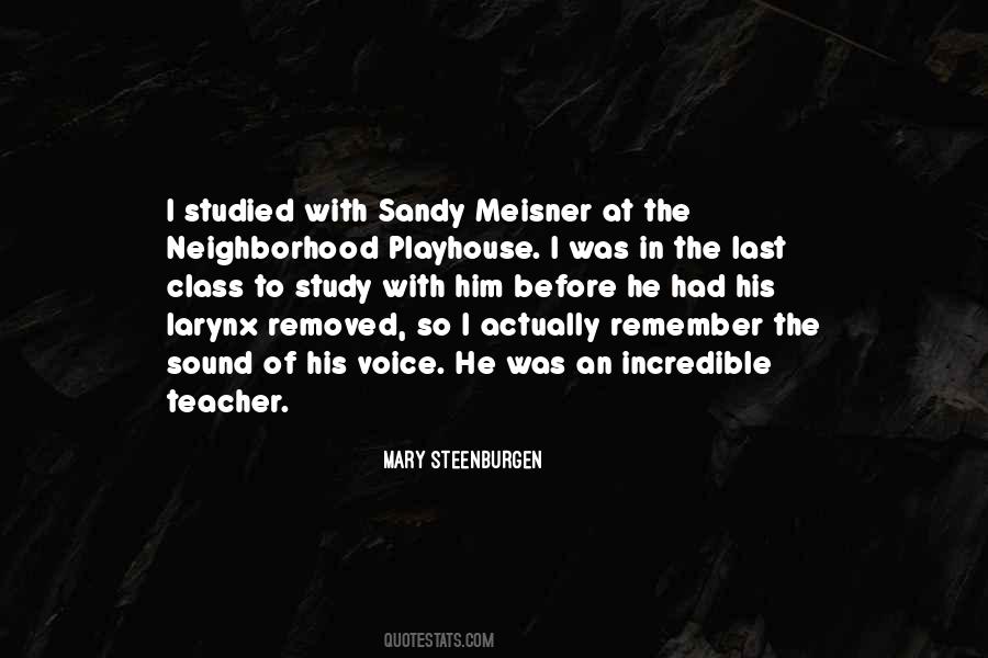 Teacher Voice Quotes #158606