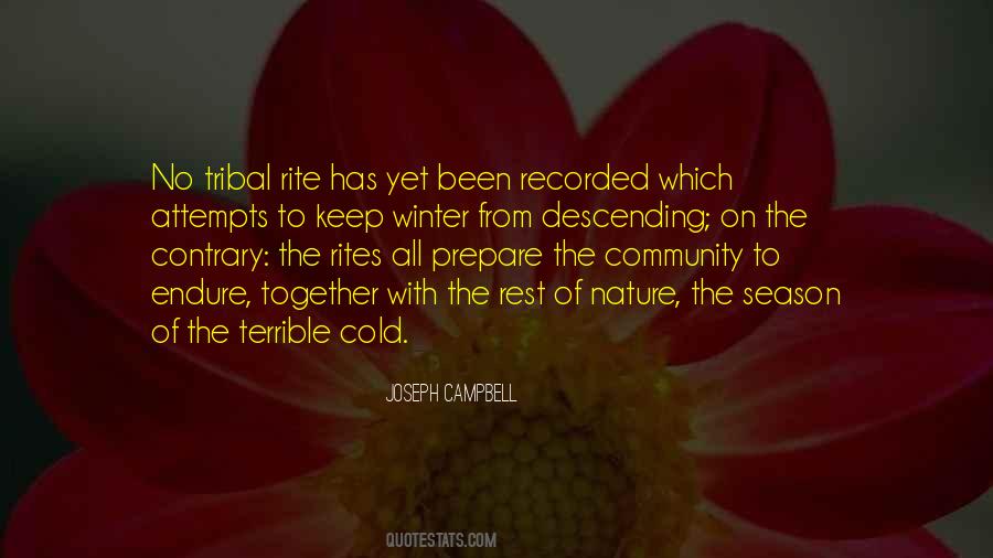 Winter Life Quotes #485264
