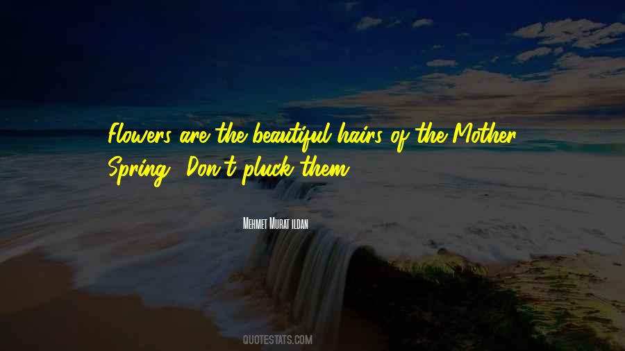Family Encouragement Quotes #512143