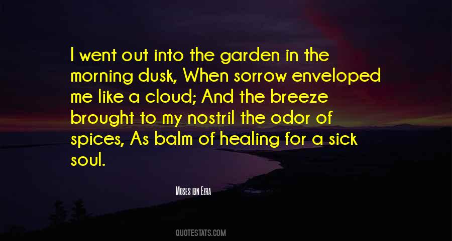 Healing Sick Quotes #1631354