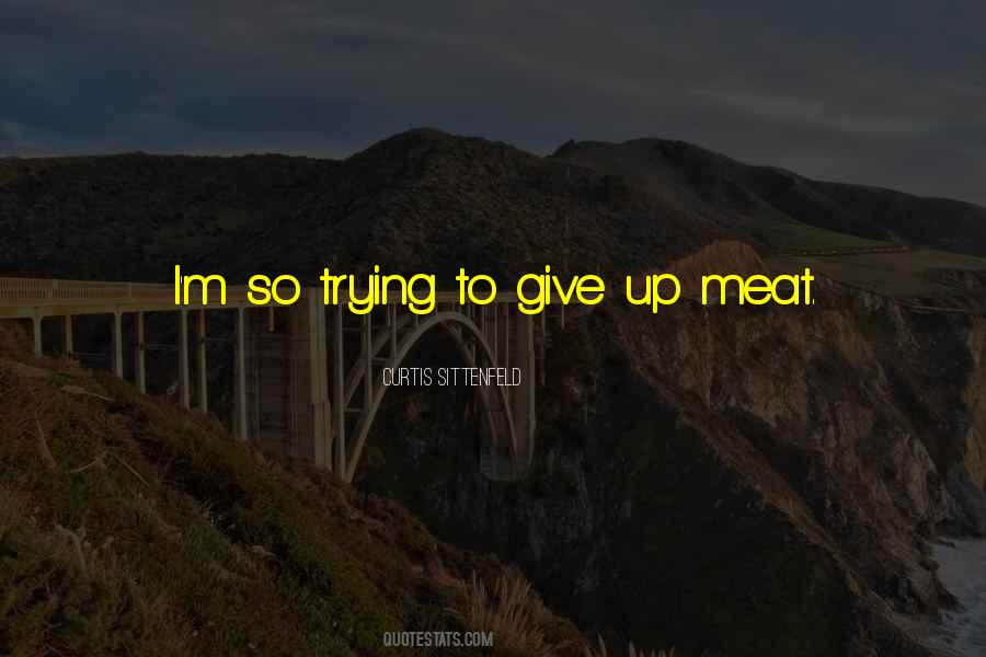 Give Up Trying Quotes #713894