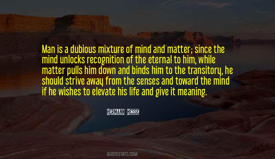 Give Your Life Meaning Quotes #578999