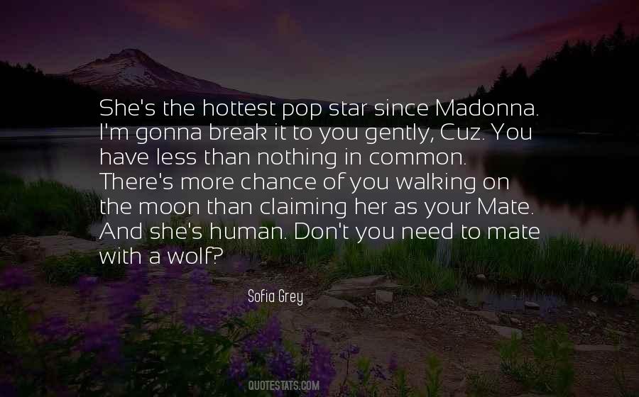 Nothing More Than You Quotes #1101230