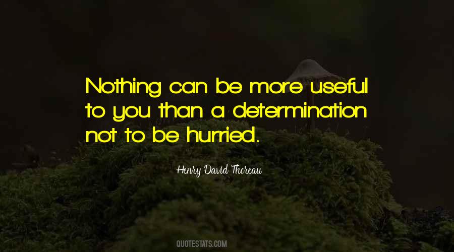 Nothing More Than You Quotes #537197