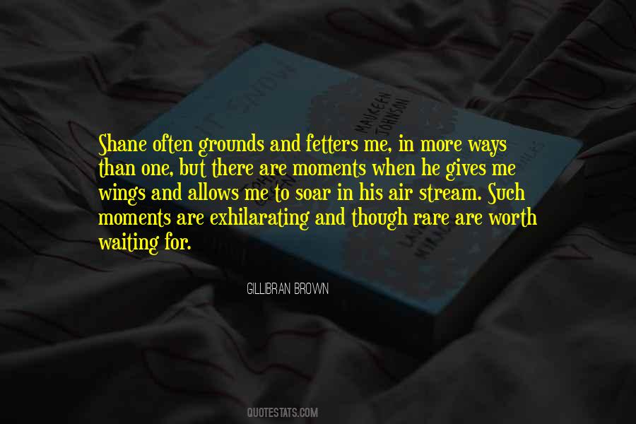 Gives Me Wings Quotes #121581