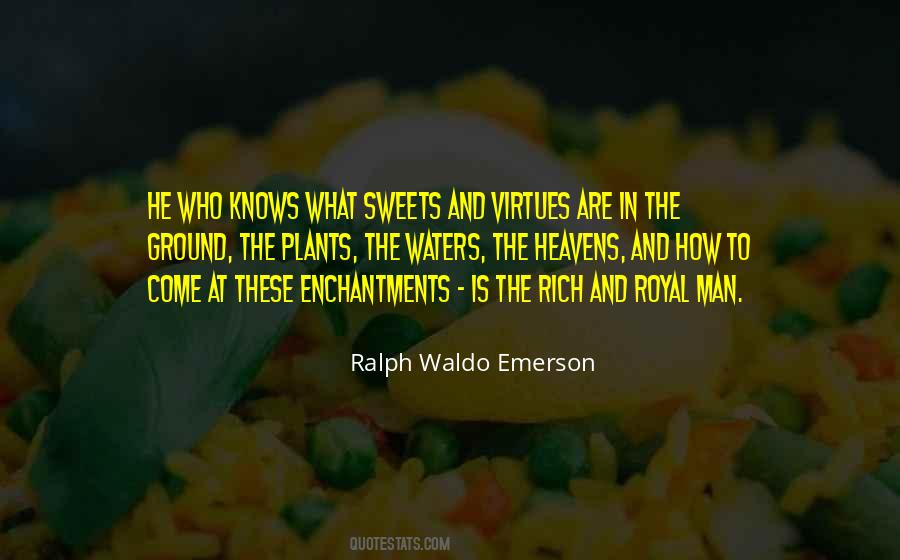 I Am Not Rich But I Am Royal Quotes #1322057