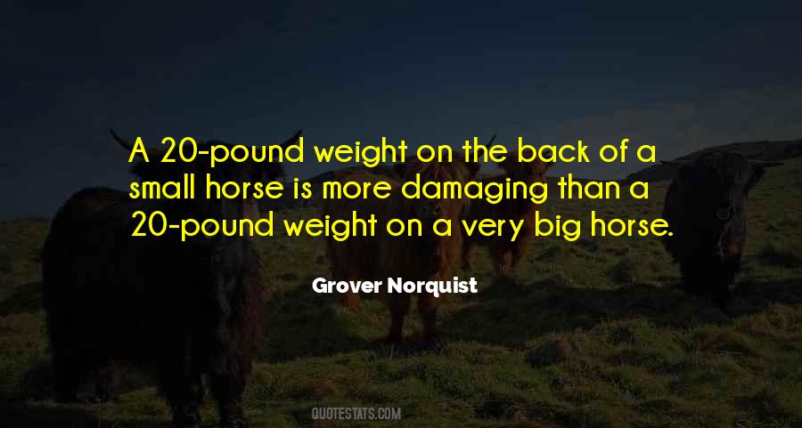 Small Horse Quotes #1779967