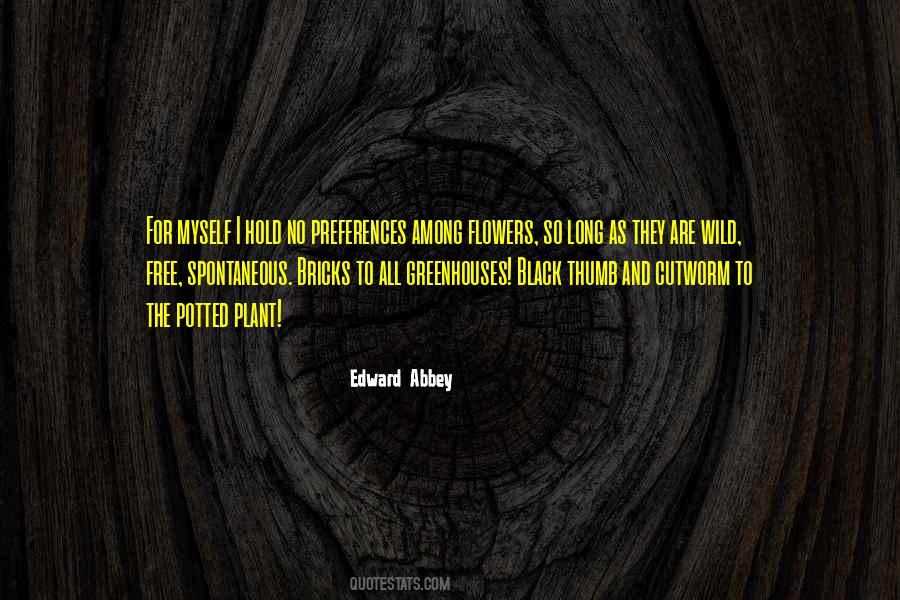 Black Flowers Quotes #1358503