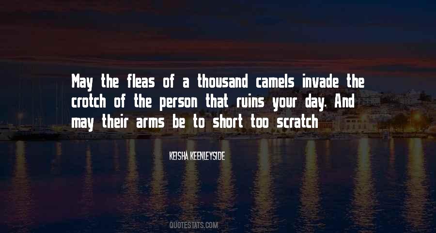 Short Humor Quotes #827016