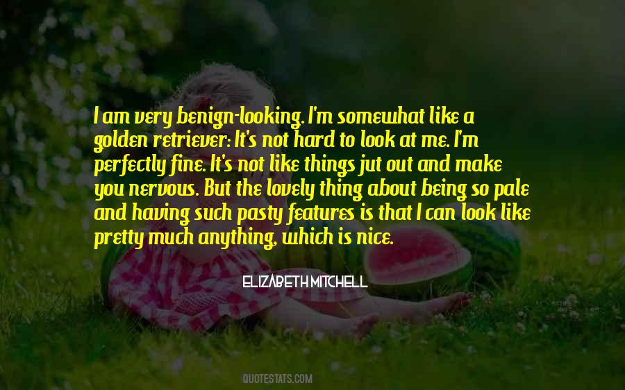 Having Nice Things Quotes #1027001