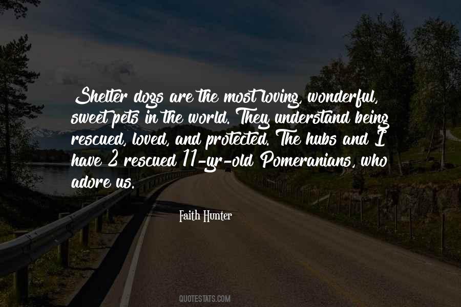 The Most Loving Quotes #958623