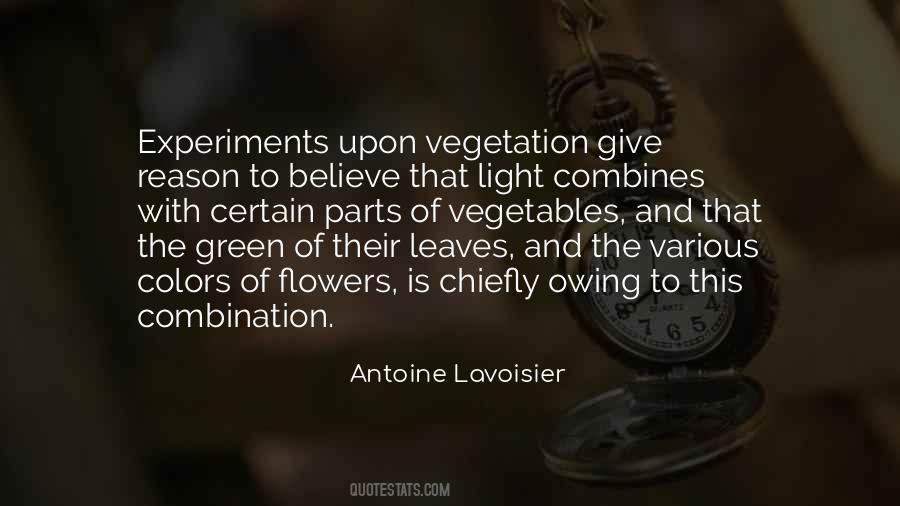 Give Flower Quotes #1321772