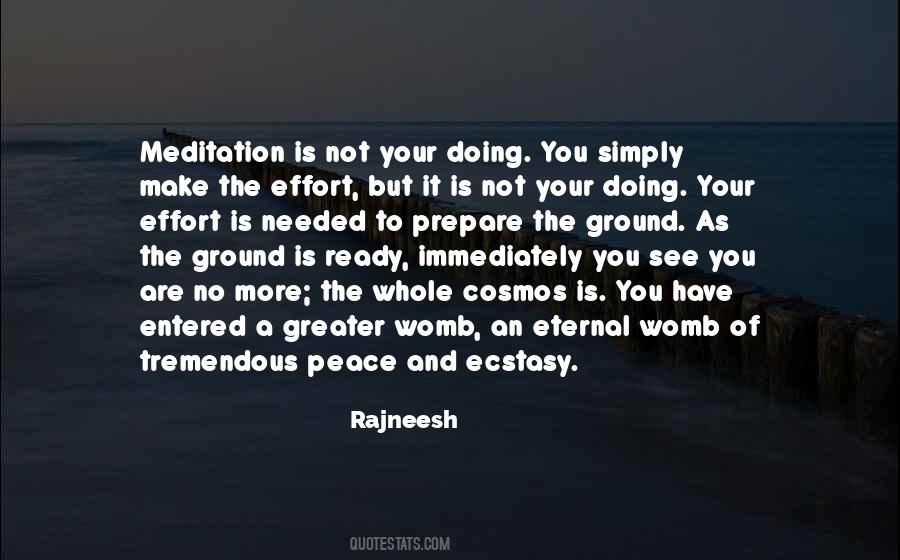 Meditation Peace Quotes #1191212