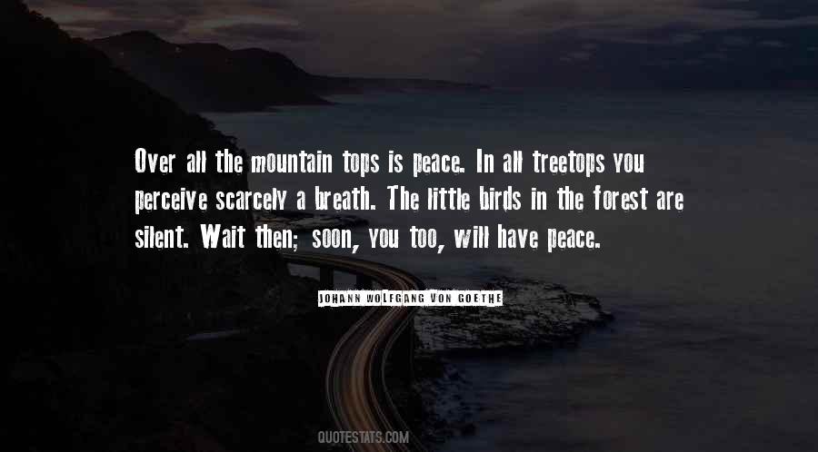 Meditation Peace Quotes #901450