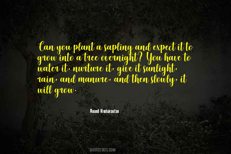 It Will Rain Quotes #453686