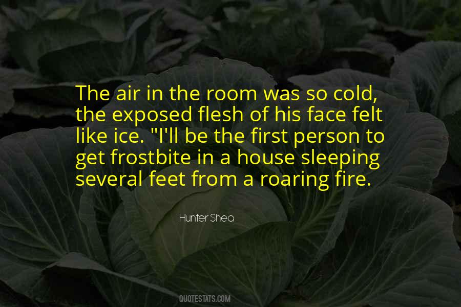 Get On Like A House On Fire Quotes #780250