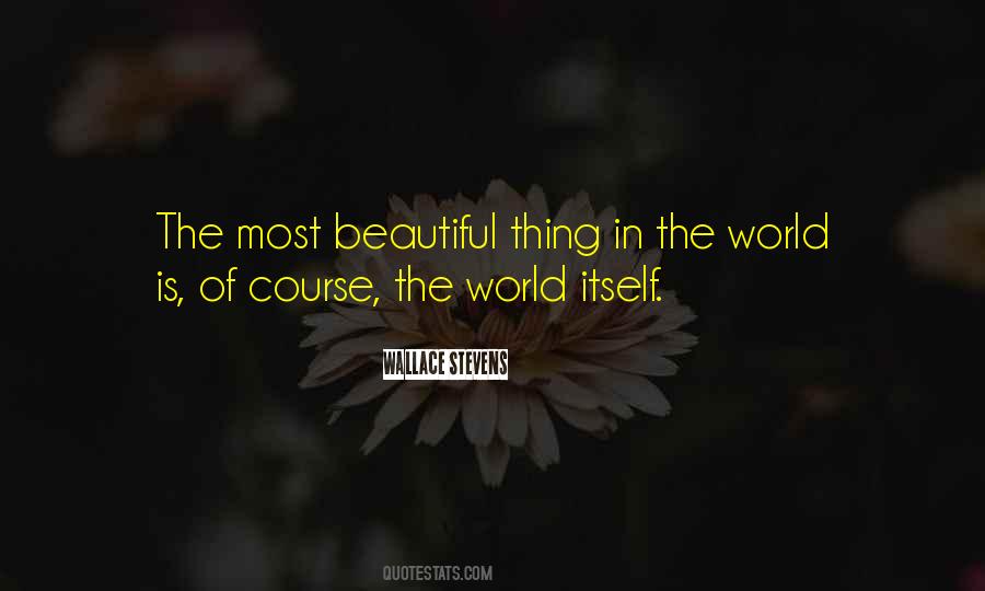 The Most Beautiful Thing Quotes #744626