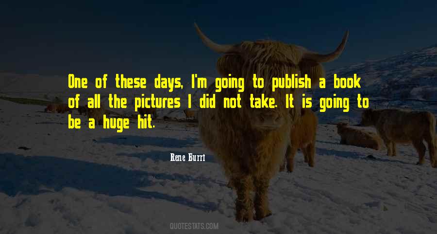 All These Pictures Quotes #540880