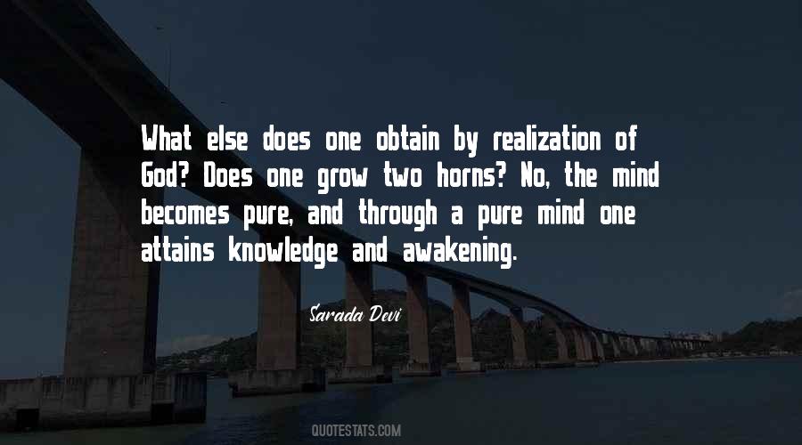 No Realization Quotes #939587