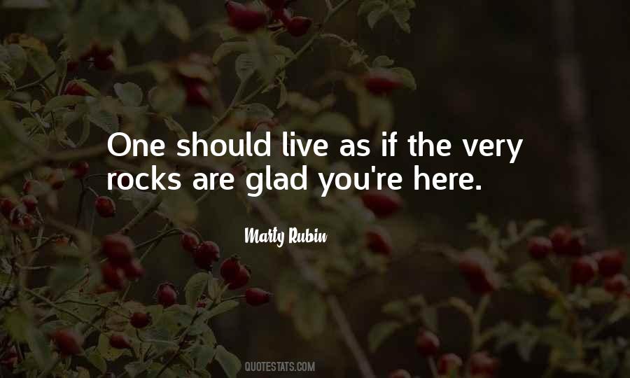 Glad You Are Here Quotes #563953 Glad You Are Here Quotes #563953
