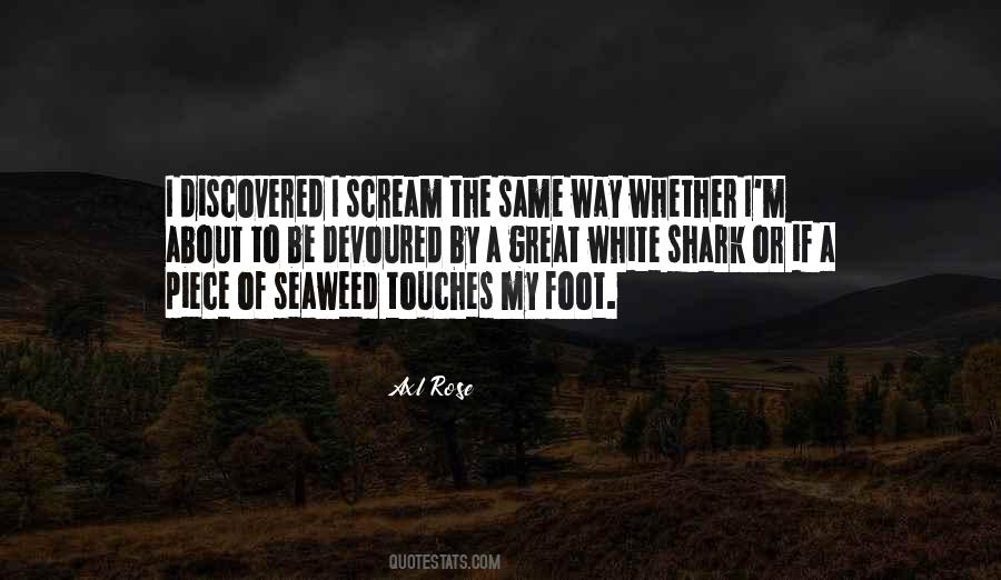 Be The Shark Quotes #1078337