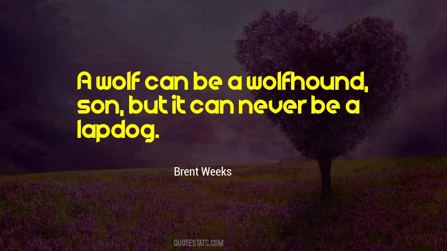 Son Wolf Quotes #473809