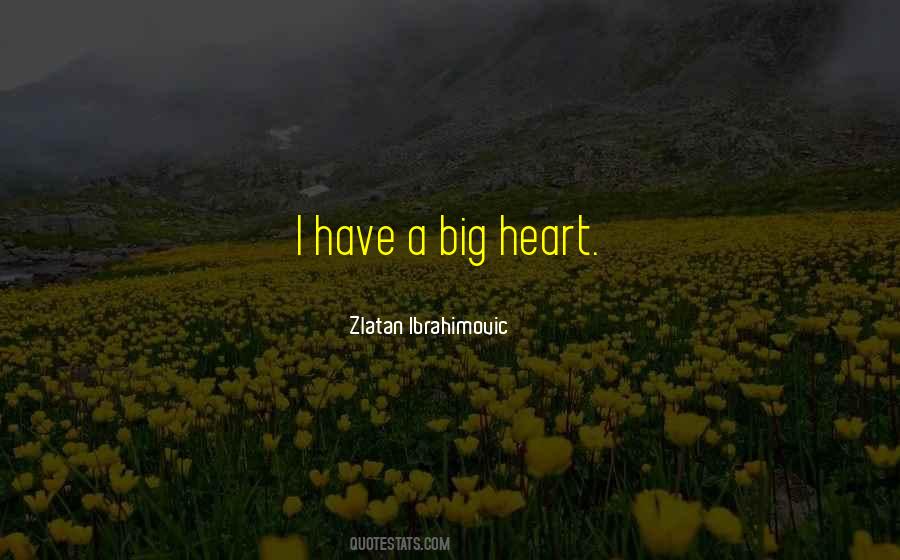 I Have A Big Heart Quotes #1371792