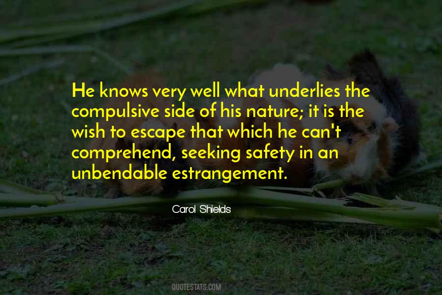 Wish Well Quotes #252109