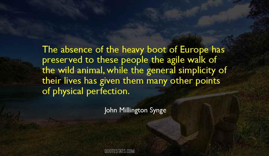 Simplicity Is Perfection Quotes #975237