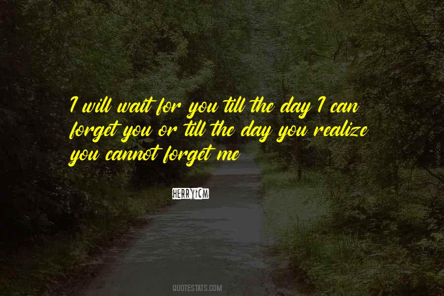 You Will Forget Me Quotes #1375291