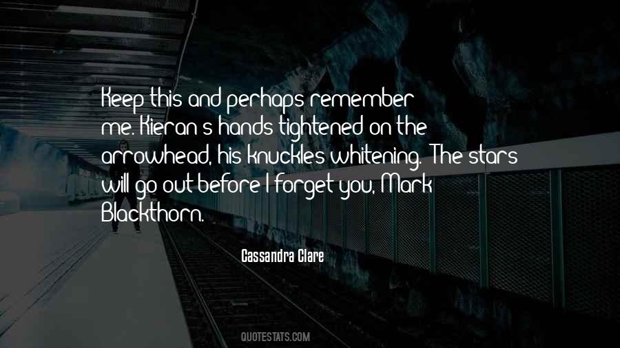 You Will Forget Me Quotes #1481874