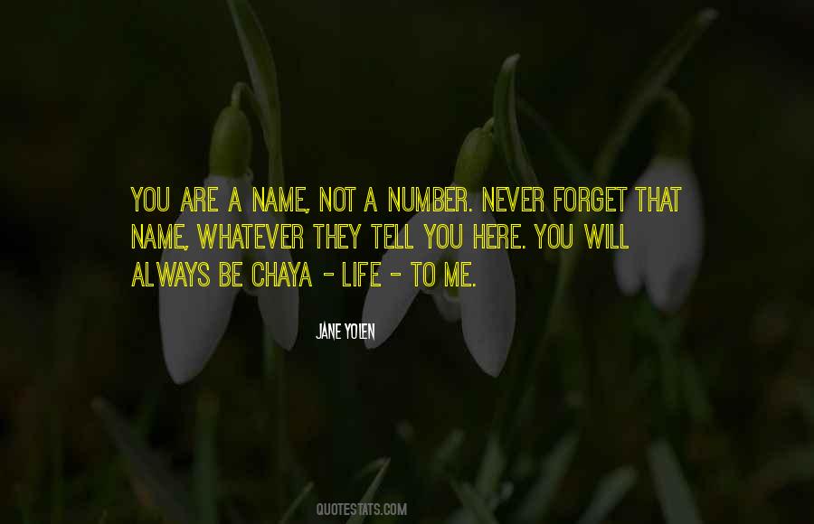 You Will Forget Me Quotes #394437