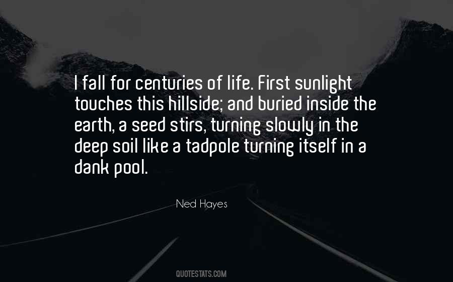 Deep Earth Quotes #522777