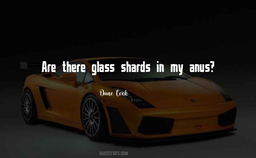 Glass Shards Quotes #184391