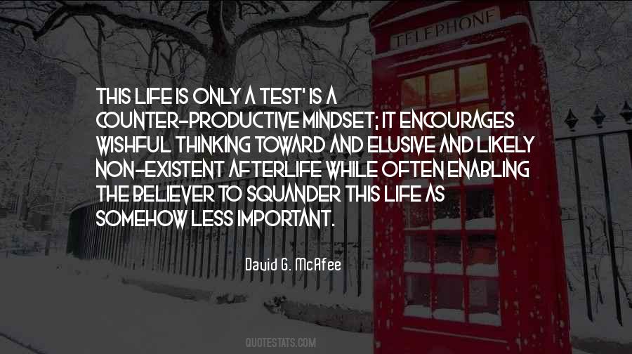 Productive Mindset Quotes #528929